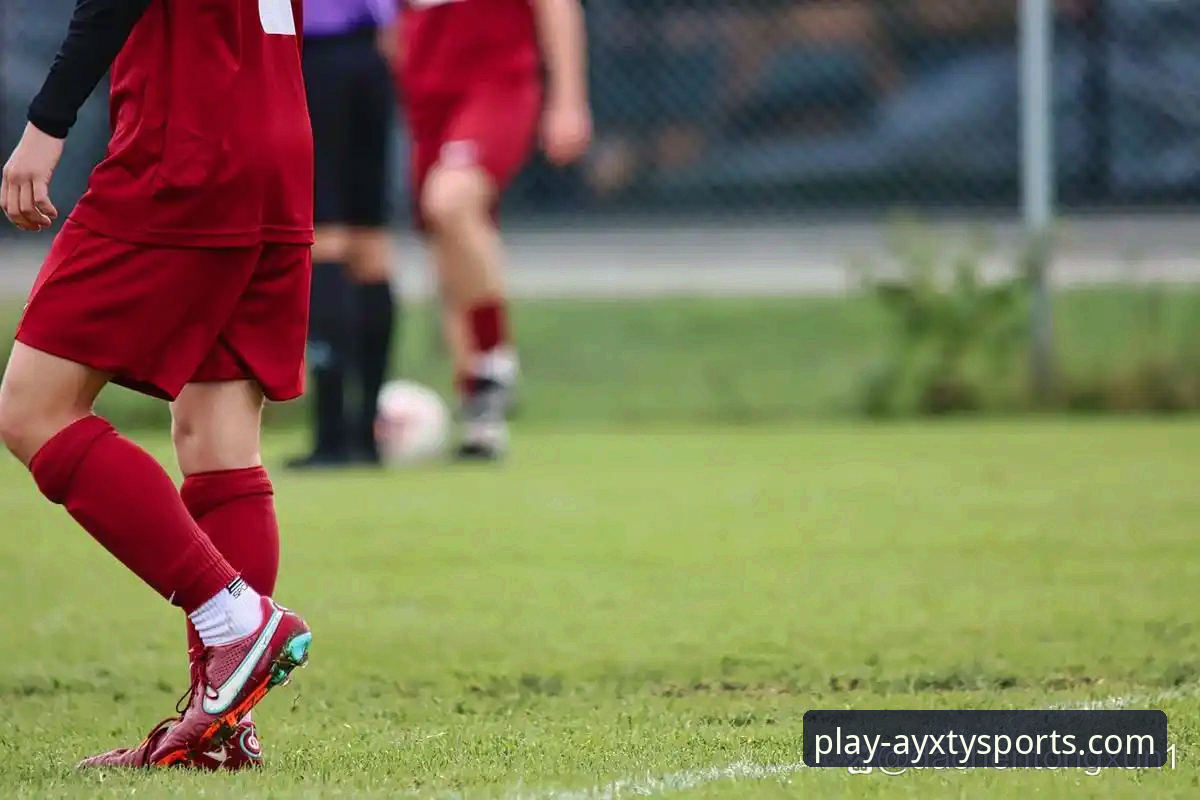 爱游戏体育平台最新动态：专业视角解析“爱游戏体育官网怎么样”与AYXTY官方推荐价值